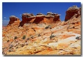 Cottonwood_Cove_27