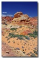 Cottonwood_Cove_29