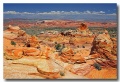 Cottonwood_Cove_31