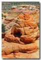 Cottonwood_Cove_35