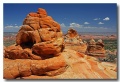 Cottonwood_Cove_36