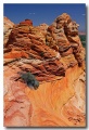 Cottonwood_Cove_37