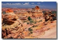 Cottonwood_Cove_40