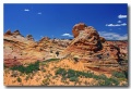Cottonwood_Cove_41