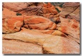 Cottonwood_Cove_42