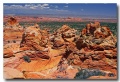 Cottonwood_Cove_43