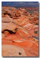 Cottonwood_Cove_45
