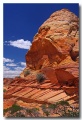 Cottonwood_Cove_49