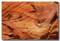 Cottonwood_Cove_53