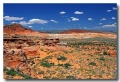 Cottonwood_Cove_55