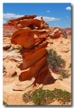 Cottonwood_Cove_56