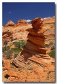 Cottonwood_Cove_58