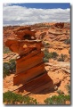 Cottonwood_Cove_59