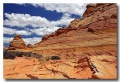 Cottonwood_Cove_63