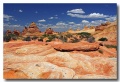 Cottonwood_Cove_64