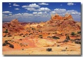 Cottonwood_Cove_65