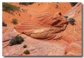 Cottonwood_Cove_66