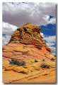 Cottonwood_Cove_69