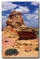 Cottonwood_Cove_71