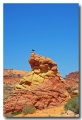 Cottonwood_Cove_74