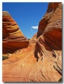 Cottonwood_Cove_77