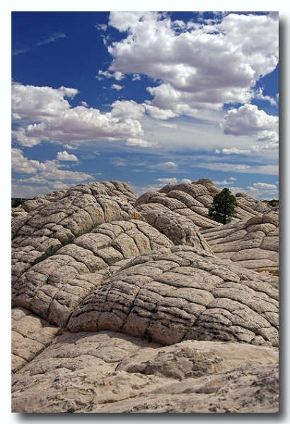White_Pocket_04.jpg