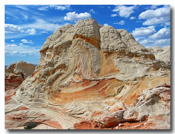 White_Pocket_06.jpg