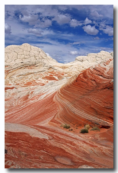 White_Pocket_13.jpg