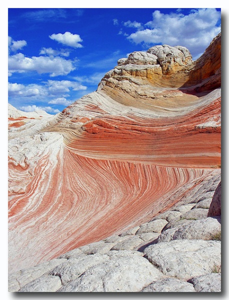White_Pocket_18.jpg