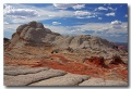 White_Pocket_02