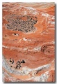 White_Pocket_07