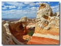 White_Pocket_10
