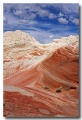 White_Pocket_13