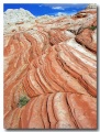 White_Pocket_17