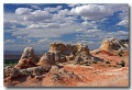 White_Pocket_20