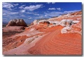 White_Pocket_25