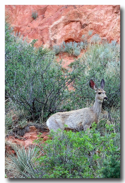 Garden_of_Gods19.jpg