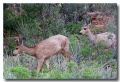 Garden_of_Gods18