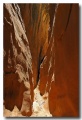 Goblin_41
