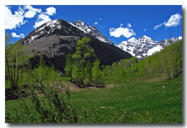 Maroon_Bell_07.jpg