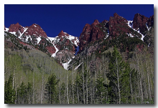 Maroon_Bell_08.jpg