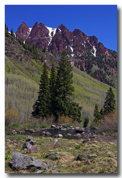 Maroon_Bell_16.jpg