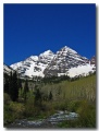 Maroon_Bell_03