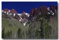 Maroon_Bell_08