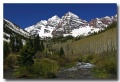 Maroon_Bell_11