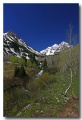 Maroon_Bell_13