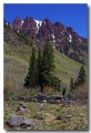 Maroon_Bell_16