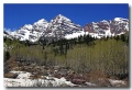 Maroon_Bell_17