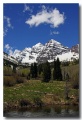 Maroon_Bell_18
