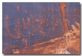 Onion_Creek_03